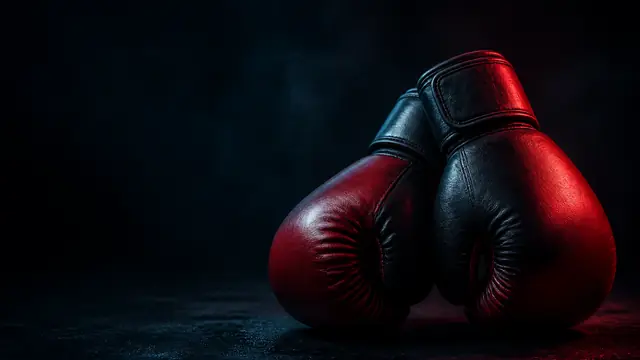 Objectif principal de Boxe